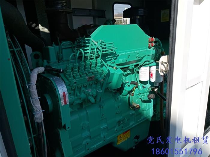 柴油發(fā)電機(jī)組租賃關(guān)于發(fā)電機(jī)組系統(tǒng)不充電的原因及處理方法的介紹
